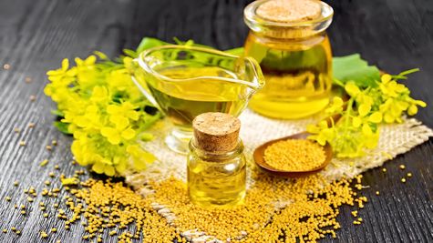 Mustard Oil Price Down: सस्ते में मिल रहा सरसों का तेल, 70% कम भाव ऐसे खरीदें ऑयल, जानिए कैसे