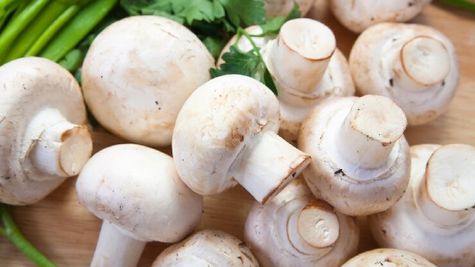 Farmer Success Story: पारंपरिक खेती छोड़कर किसान ने उगाई ये फसल, अब हर महीने होती है लाखों की कमाई 