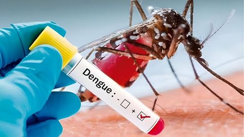 Bengaluru Dengue Alert: तेजी से बढ़ रहे डेंगू के मरीज! 20 दिनों में आए 1000 मामले,चपेट में आए BBMP चीफ कमिश्नर