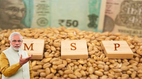 मोदी सरकार ने किसानों को दी खुशखबरी! इन 14 फसलों पर बढ़ा दी MSP, चेक करें लिस्ट 