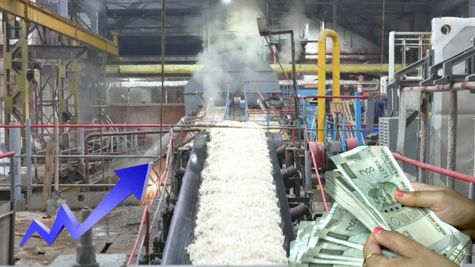 बाजार बंद होने से पहले खरीद लें ये शुगर स्टॉक्स, शॉर्ट टर्म में बनेगा मोटा पैसा, चेक कर लें टारगेट और स्टॉपलॉस