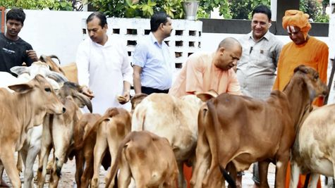 OPINION: योगी सरकार की अनूठी पहल, गांवों में रोजगार के साथ होगा जल संरक्षण