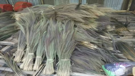 Success Story: झाडू ने बदल दी कहानी, 25,000 से शुरू किया बिजनेस, आज 12 लाख है कमाई