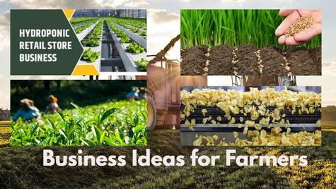  Small Business Idea: पैसा ही पैसा, यह चार बिजनेस आईडिया किसानों को देंगे मोटी कमाई