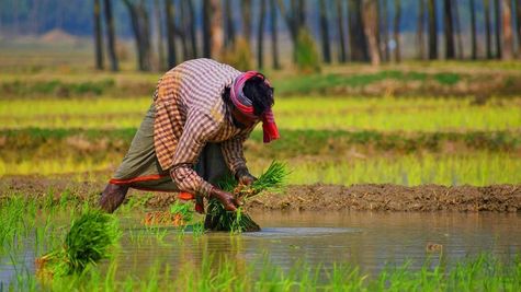 किसानों के लिए सौगात, अब रेडियो पर हर महीने होगी 'किसान की बात', इन बातों पर दिया जाएगा जोर 