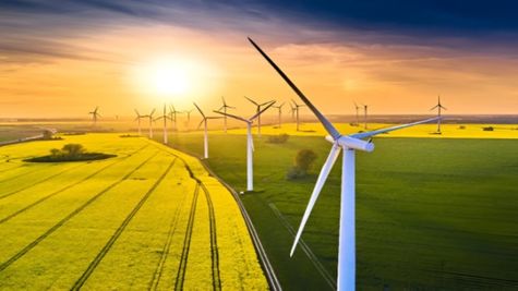Suzlon Energy के लौटे अच्छे दिन! भाव निकला ₹80 के पार, आगे भी नहीं रुकेगी तेजी? जानें 