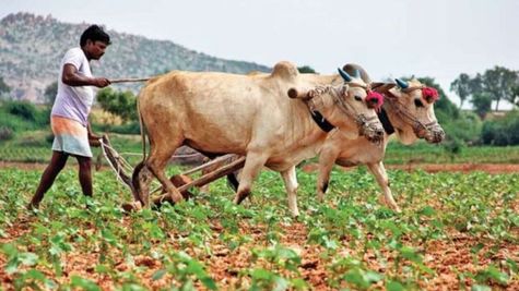 Kisan Pension: किसानों की मौज! टेंशन फ्री होगी रिटायरमेंट लाइफ, इस स्कीम से हर महीने मिलेगी पेंशन 