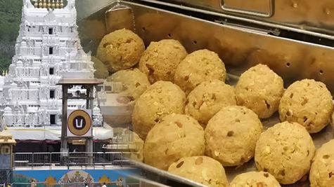 Tirupati Balaji Temple Laddu: लड्डुओं से मंदिर की आय करीब ₹5000000000 करोड़, जानें एक लड्डू का