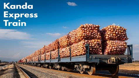 सस्ते में मिलेगा प्याज! फेस्टिव सीजन में मोदी सरकार ने बनाया ये खास प्लान, चलेगी 'कांदा एक्सप्रेस'