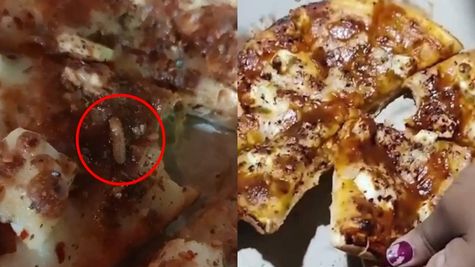 Viral Video: इस वायरल वीडियो को देखकर आप भी हो जाएंगे हैरान, पिज्जा में रेंगते हुए दिखाई दिए कीड़े 