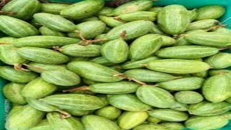 उत्तर प्रदेश सरकार परवल की खेती पर दे रही सब्सिडी, जानें कैसे उठाएं फायदा 