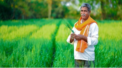 PM Dhan-Dhanya Krishi Yojana 2025: पीएम धन धान्य कृषि योजना को कैबिनेट से मंजूरी संभव, मिलेंगे ये फायदे