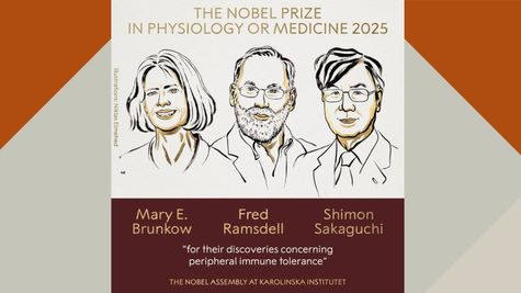 Nobel Prize 2025: फिजियोलॉजी; मेडिसिन के लिए नोबेल पुरस्कार घोषित, जानें किन्हें और क्यों मिला यह सम्मान