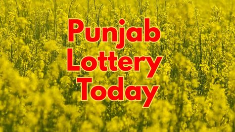 Punjab Lottery Result Today: पंजाब लॉटरी का रिजल्ट जारी, आज किसे मिला 25 लाख का पहला इनाम? 