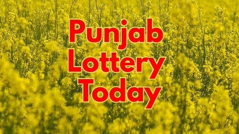 Punjab Lottery Result Today: पंजाब स्टेट डियर 50 बस्टर बुधवार लॉटरी का रिजल्ट जारी! चेक करें अपना नंबर