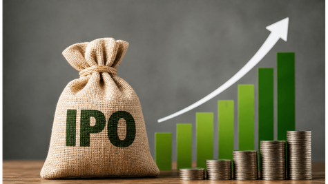 Turtlemint IPO: 19 जून से खुल रहा है ₹883 करोड़ का मौका, निवेश से पहले जान लें ये जरूरी नियम