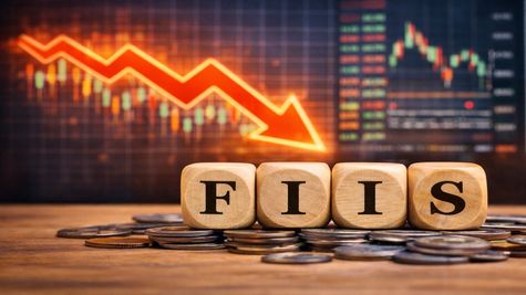 FIIs की हिस्सेदारी 20 साल के सबसे निचले स्तर पर, Large Cap अब लगेगा दांव?