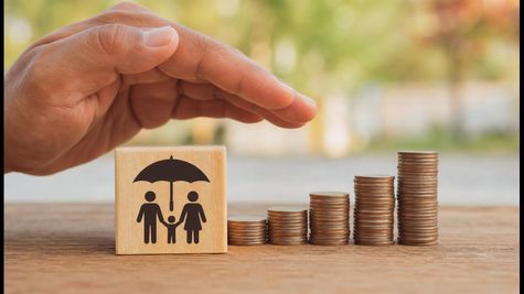 LIC AGM 2026: डिविडेंड और बोनस पर बड़ा फैसला, निवेशकों के लिए क्या है खास?