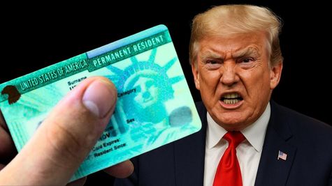 H1B Visa: TCS, Infosys समेत 8 कंपनियों के Green Card पर रोक, अब क्या करें NRIs?