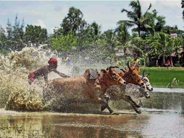 किसानों को मिली राहत 