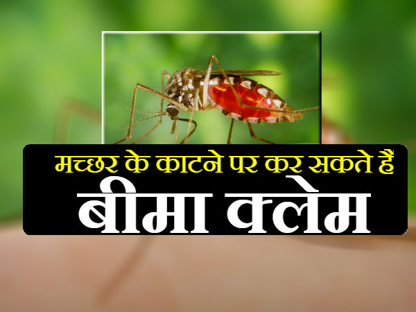 मच्छर का काटना है दुर्घटना 