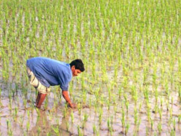 नाबार्ड के लिए दिए 20 हजार करोड़ रुपए