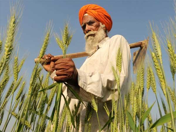 Govt Clear That No Tax On Agriculture Related Income Govt Clear That No Tax On Agriculture Related Income