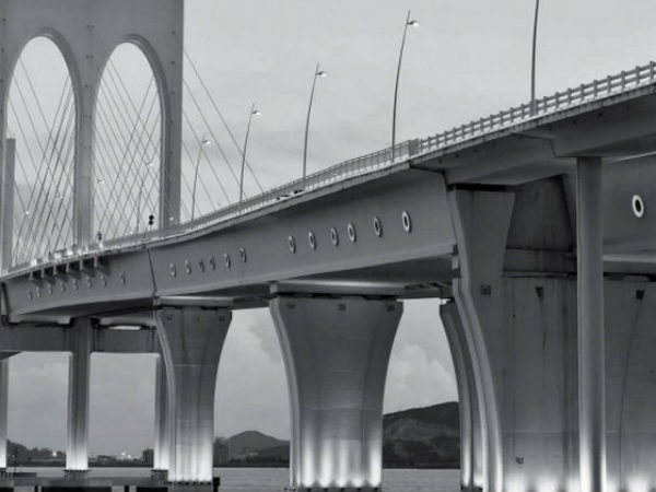 8. पीएनसी इन्फ्राटेक लिमिटेड 