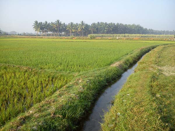 लैंड खरीदने के लिए अधिकतम लोन 