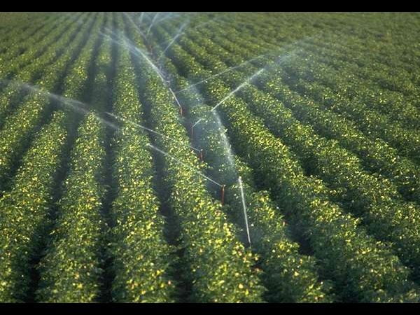 प्रधानमंत्री कृषि सिंचाई (पीएमकेएसवाई) योजना 