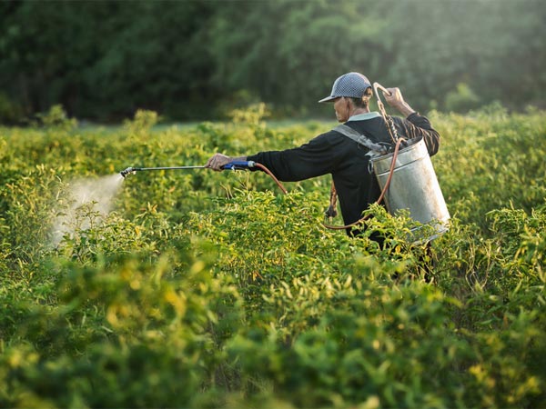 बागवानी के समन्वित विकास के लिए मिशन (एमआईडीएच), 