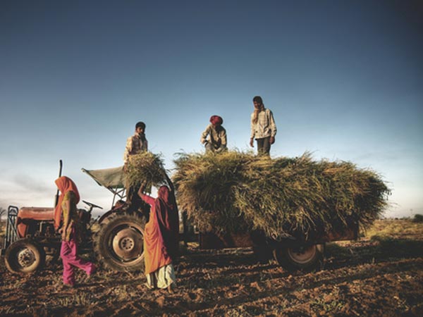राष्ट्रीय तिलहन और तेल (एनएमओओपी) मिशन कार्यक्रम