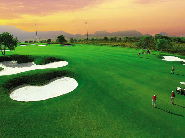 नीलामी रोकने की याचिका