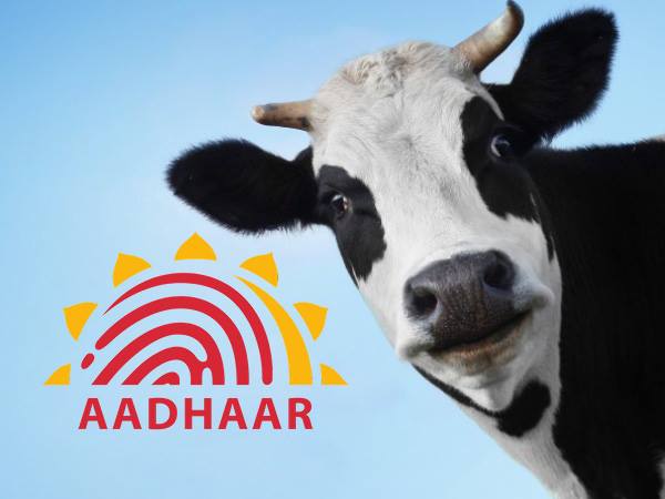 आधार जैसा ही होगा 12 अंक 