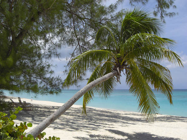 केमैन आइलैंड्स