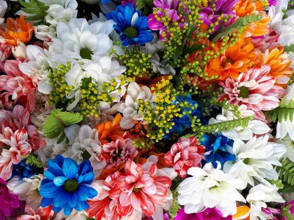 ऐसे करें स्‍थान का चयन 