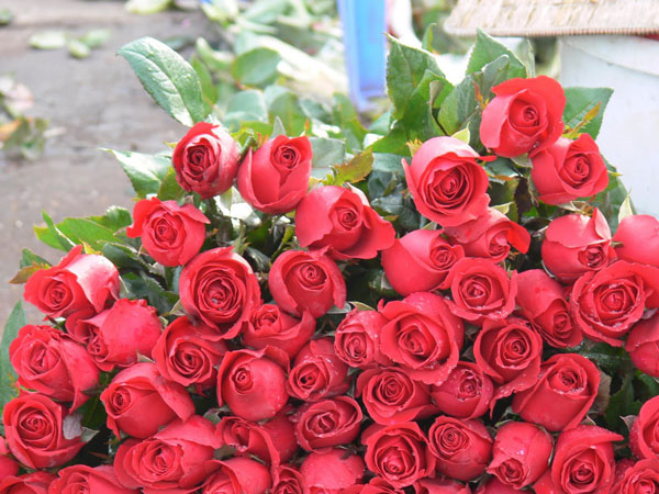 फूलों की पैकेजिंग 