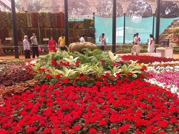 शादी-ब्‍याह में भी लें ऑर्डर 