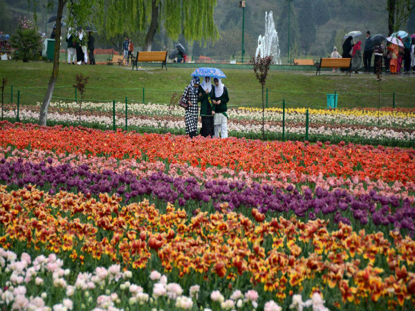 फूलों की दुकान में व्‍यापार की कुल लागत 