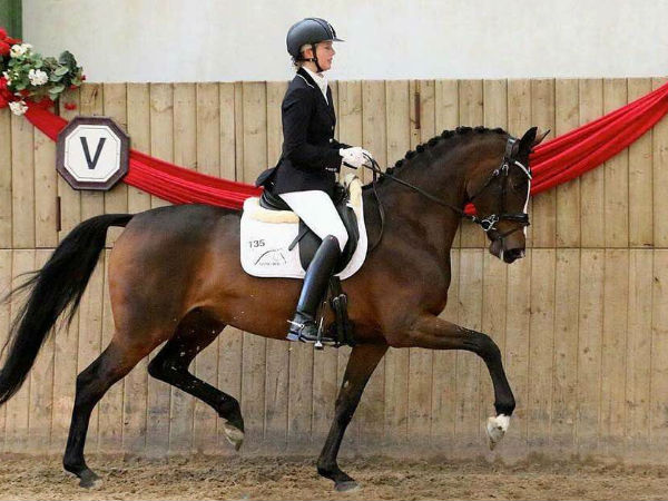 पेशे हैं घुड़सवार 