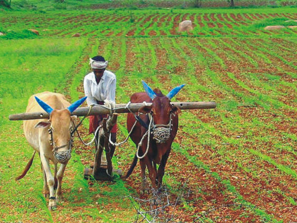 कम बारिश का भी दिखेगा असर