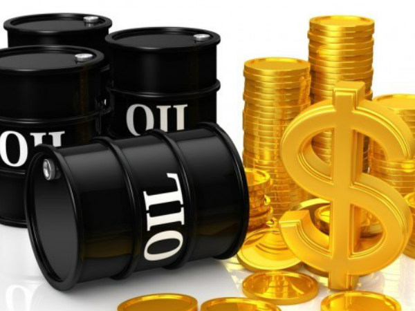 4. तेल एवं प्राकृतिक गैस क्षेत्र के पेशेवर )Oil and Natural Gas Sector Professionals)