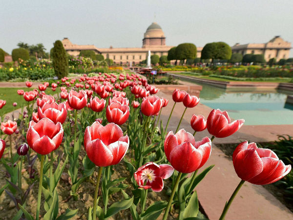 मुगल गार्डन घूमने का समय