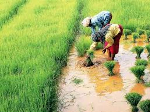 उत्तर प्रदेश के 1,398 किसानों का ऋण चुकाया