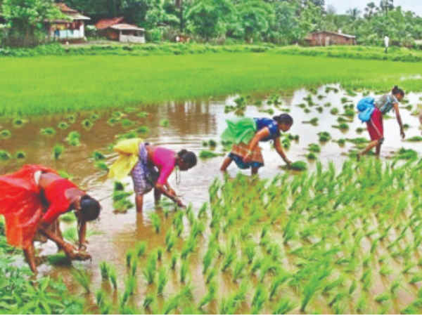 जानें किन लोगों को इस स्कीम का नहीं मिलेगा फायदा