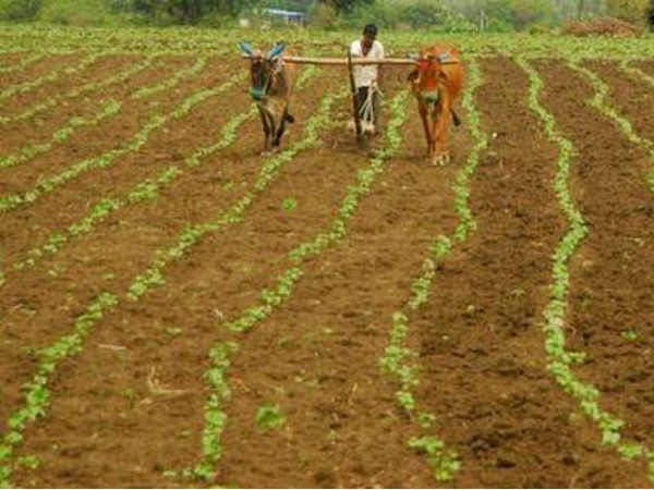 जानें किन लोगों को इस स्कीम का नहीं मिलेगा फायदा