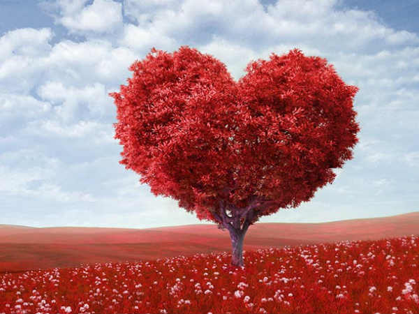 वैलंटाइंस डे (valentines day) पर एसोचैम का अनुमान 