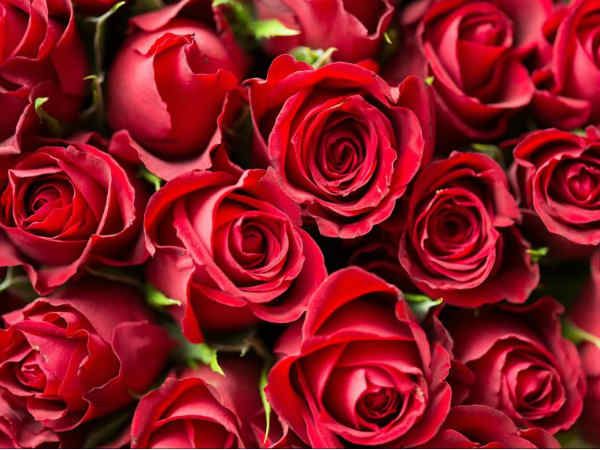 फूलों के निर्यात के आंकड़े