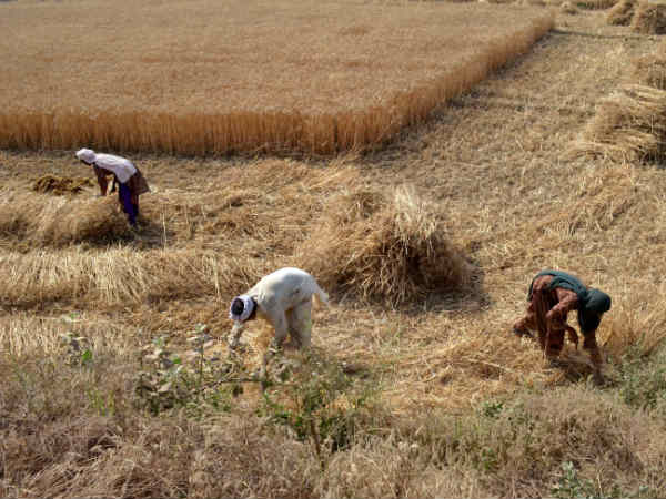 इनको भी नहीं मिलेगा फायदा