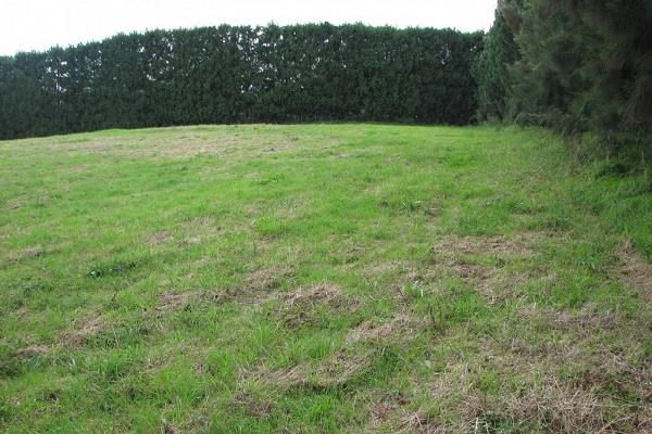 प्रॉपर्टी खरीदने से पहले क्या देखें